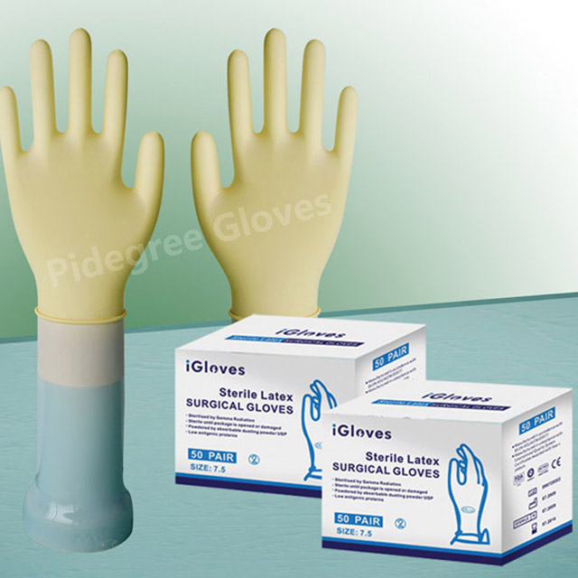 Natural Latex Surgical Gloves Powdered